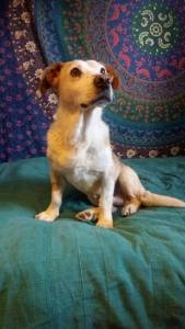 12401815_10153489724136026_3901860256449292394_o