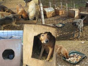 13913835_10154018050141026_5475977694084736168_o