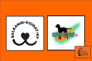 15578496_960529380748890_922456555647520588_n