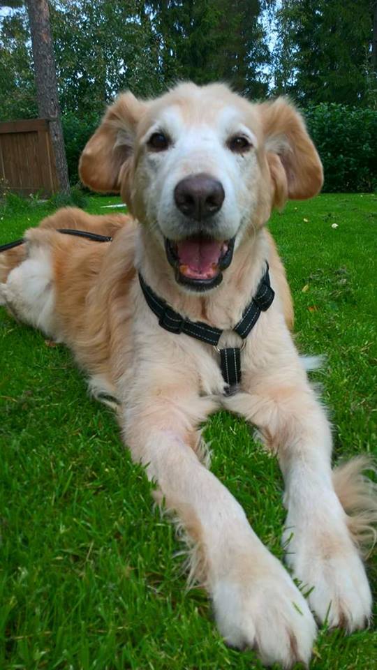 21942015_10155716958034819_444550494_n