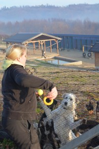 12281691_725651947571222_880606204_o