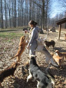 12305429_10153414971826026_485330087_n