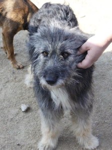 13528532_10154304742624819_8761989793800706739_o