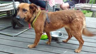 34094157_453227425136694_8934607074713665536_o