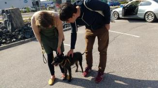 34136673_453226938470076_5291885525307752448_o