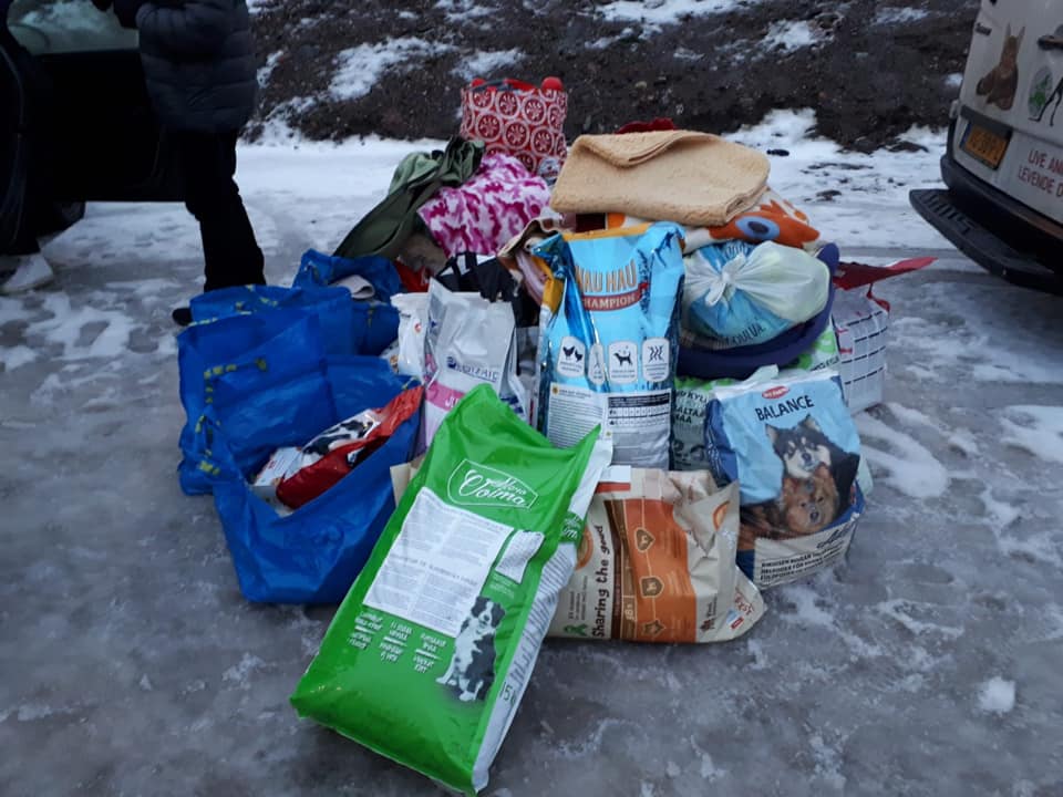 48429921_2172021546152288_923277716482949120_n