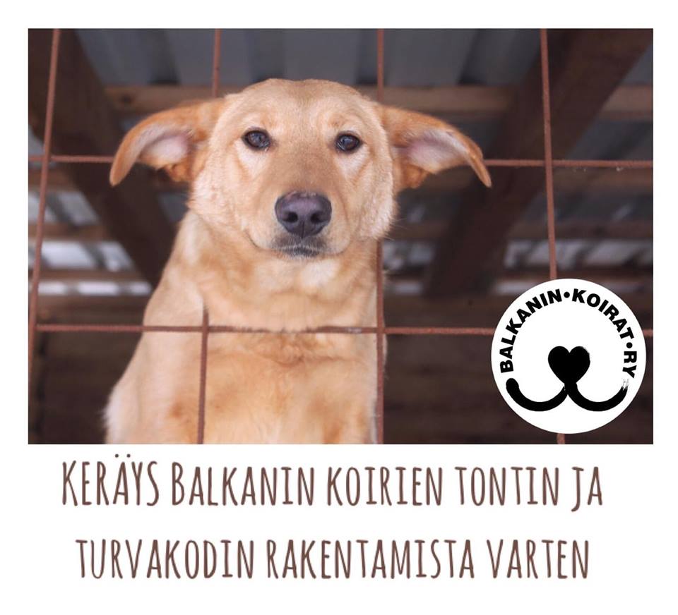 51407544_619080181884750_1705756475038629888_n