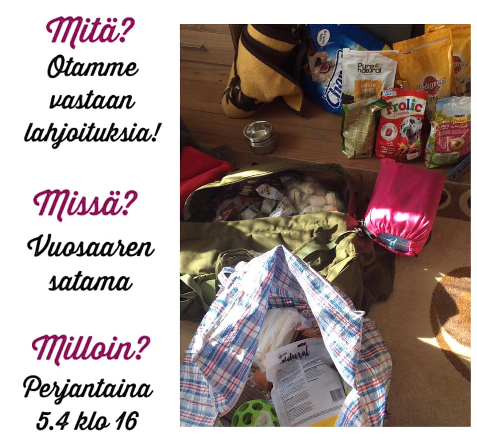 55769981_646616369131131_9156600267657969664_n