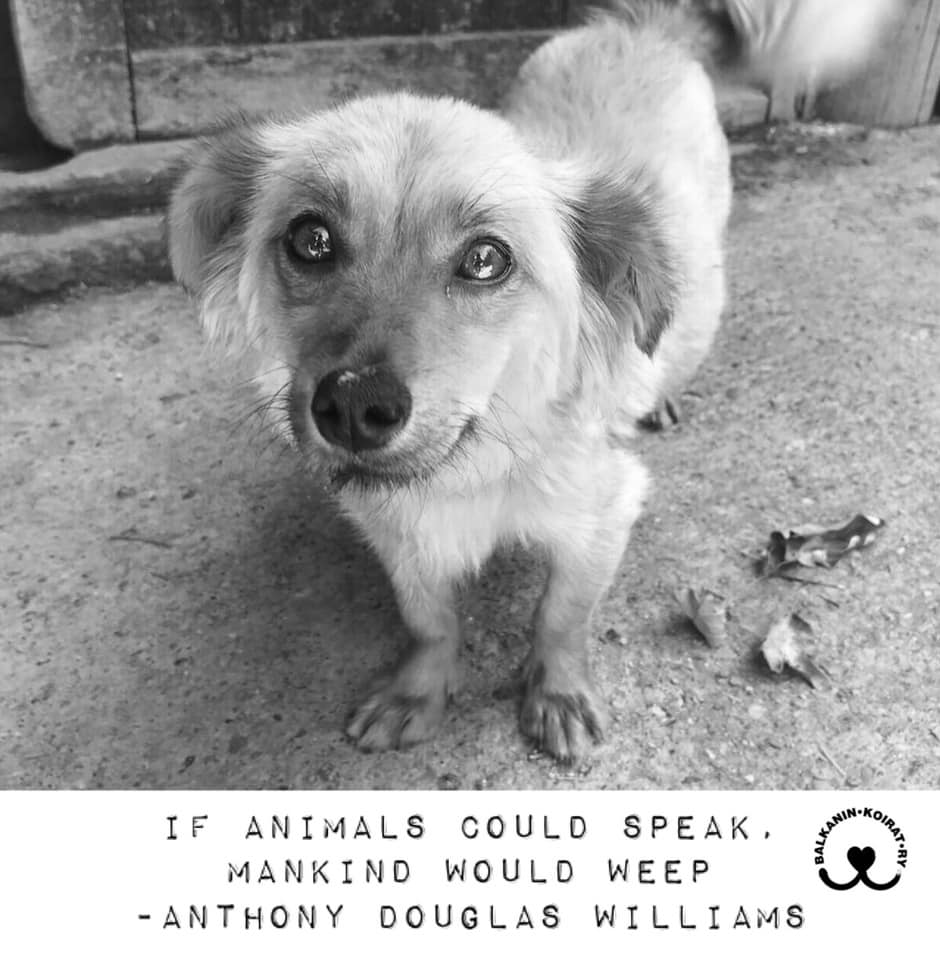 72124826_766719177120849_2309754453110030336_n