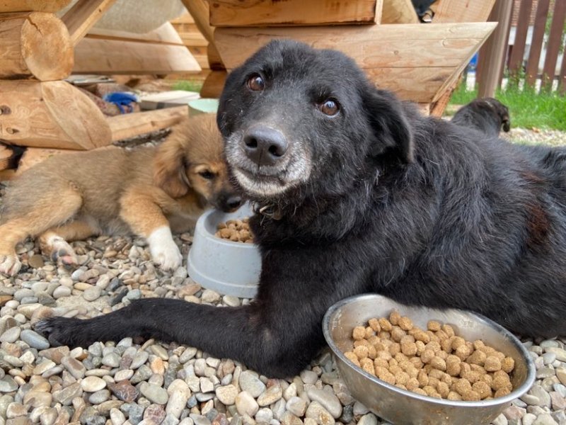 Mile – erityisadoptio –&nbsp;varattu