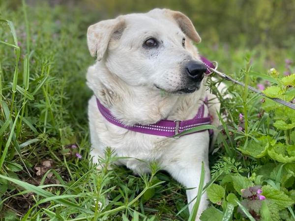 Beli – kotihoidossa&nbsp;Suomessa