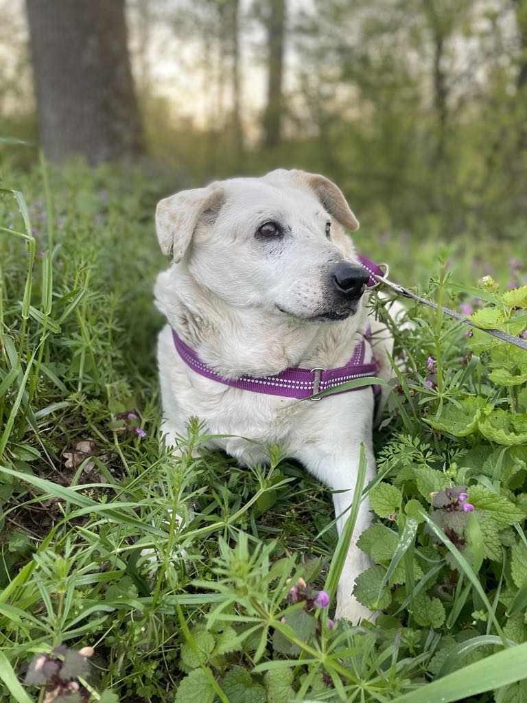 Beli – kotihoidossa&nbsp;Suomessa