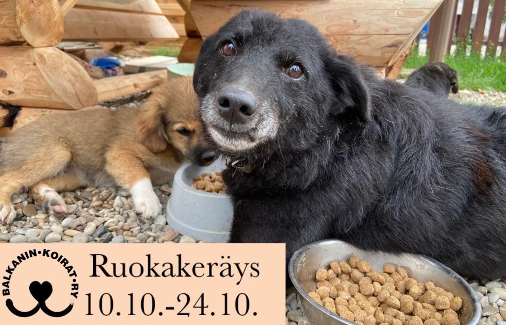 *Keräys on päättynyt* Ruokakeräys 2€ haaste, lahjoita purkki&nbsp;märkäruokaa!