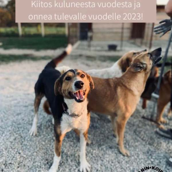 Vuosi 2022 paketissa