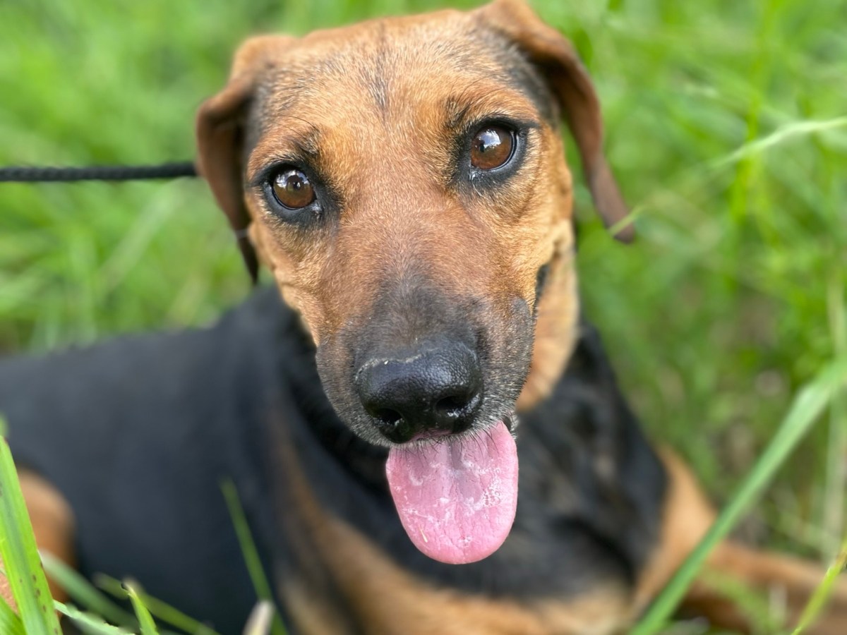 Edda – kotihoidossa Suomessa –&nbsp;varattu