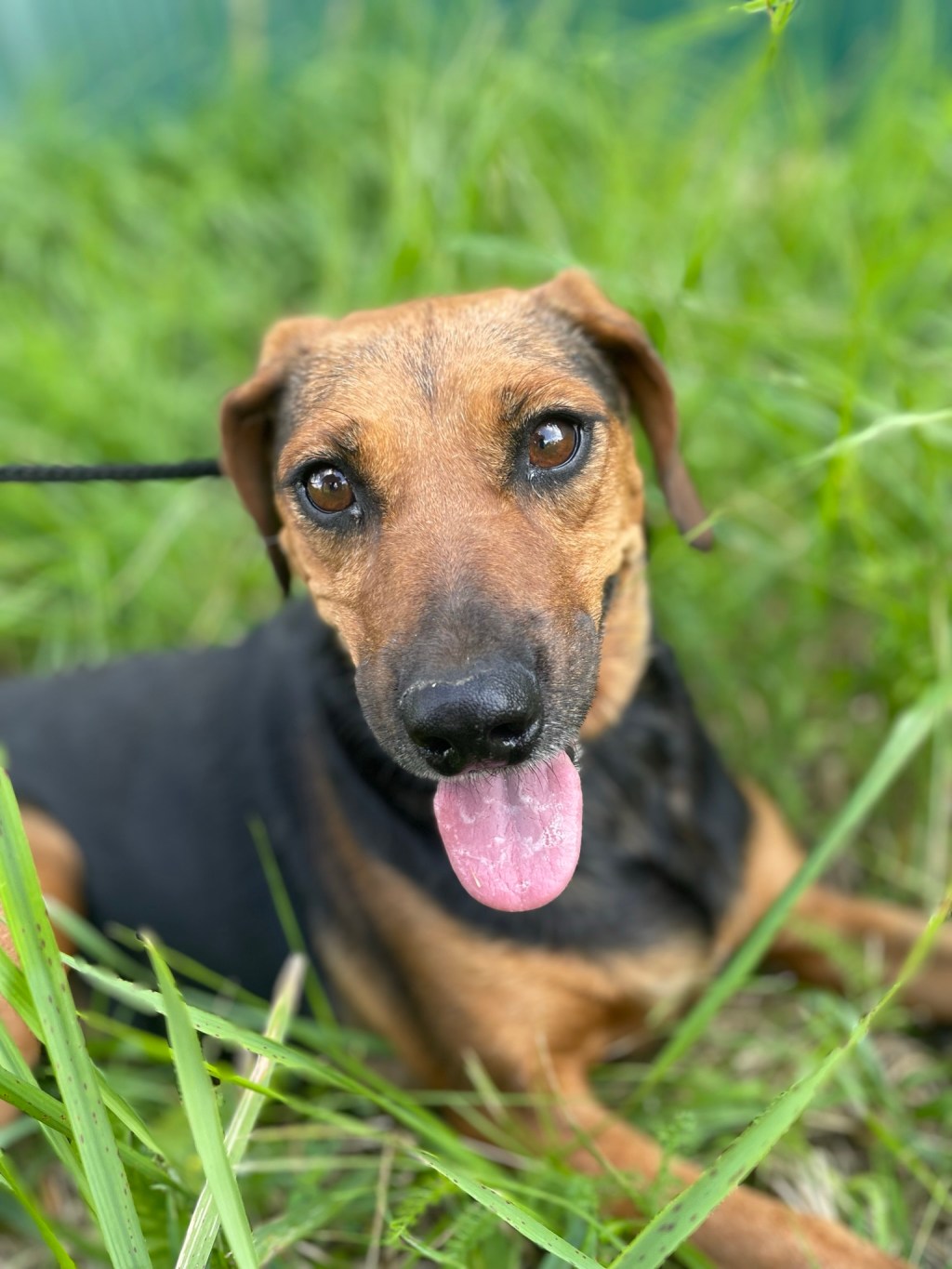 Edda – kotihoidossa Suomessa –&nbsp;varattu