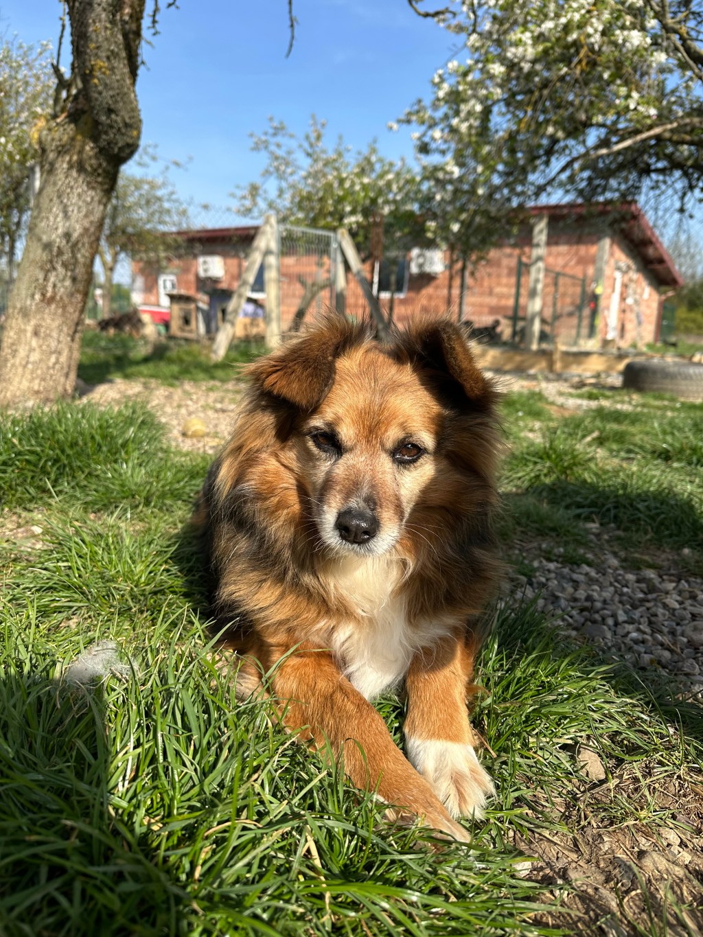 Shanti