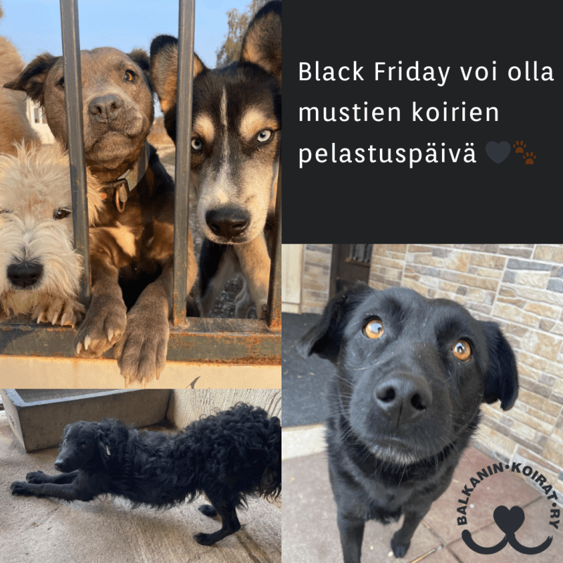 Black Friday -keräys –&nbsp;29.11.2024