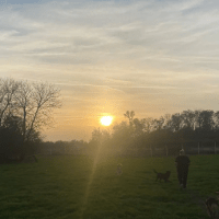 Turvakodilla 27.10-3.11.2024