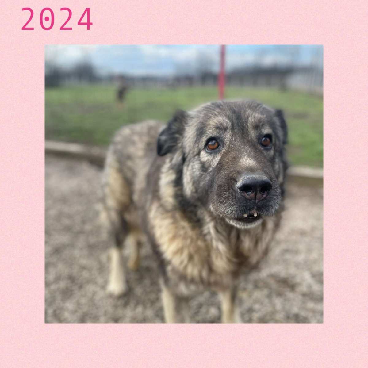 Vuosi 2024 paketissa