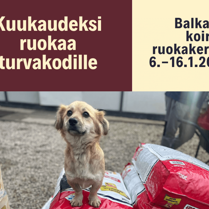 Kuukaudeksi ruokaa turvakodille – ruokakeräys&nbsp;6.-16.1.2025