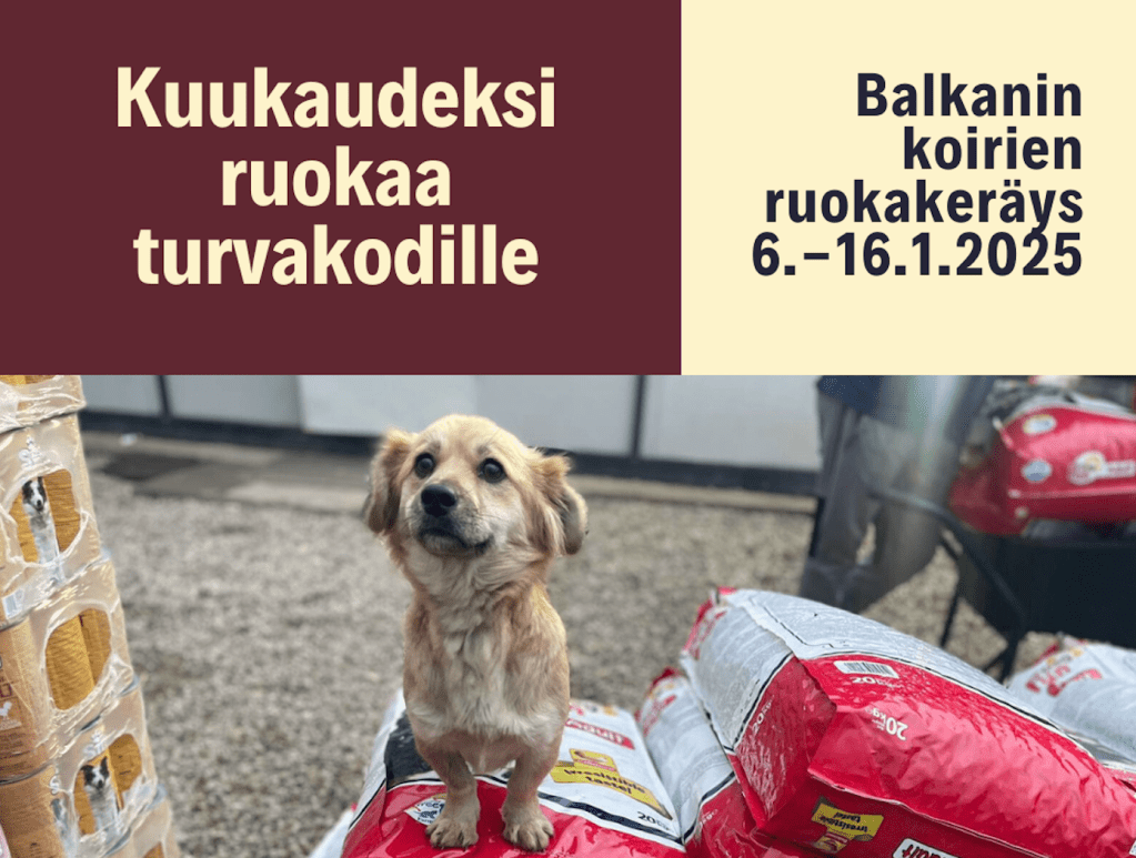 Kuukaudeksi ruokaa turvakodille – ruokakeräys&nbsp;6.-16.1.2025