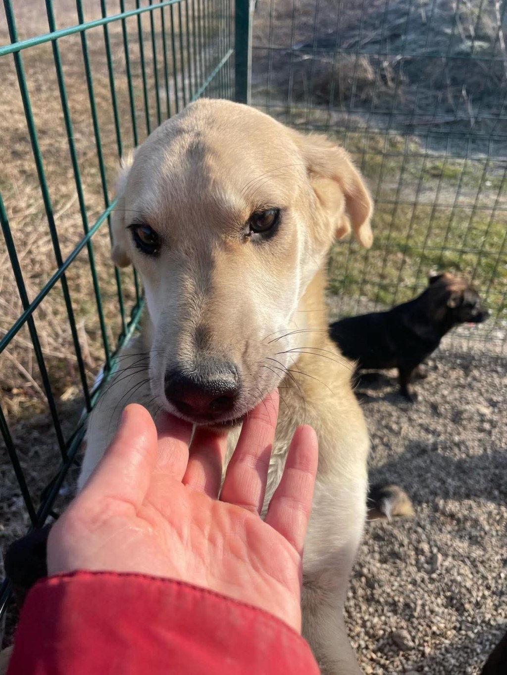 Kookos – alustavasti&nbsp;varattu