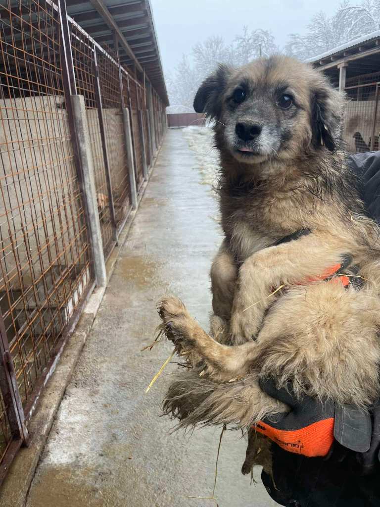 Lähtö Dobojn kunnalliselta tarhalta