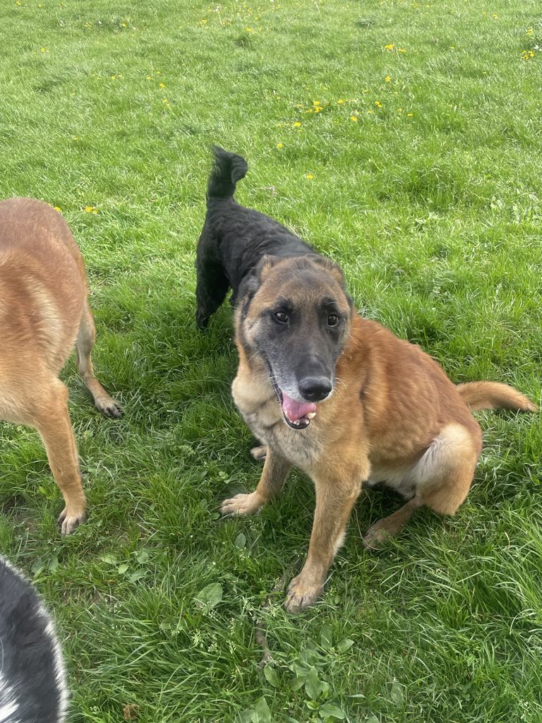 Vastasaapuneena turvakodilla 4/25