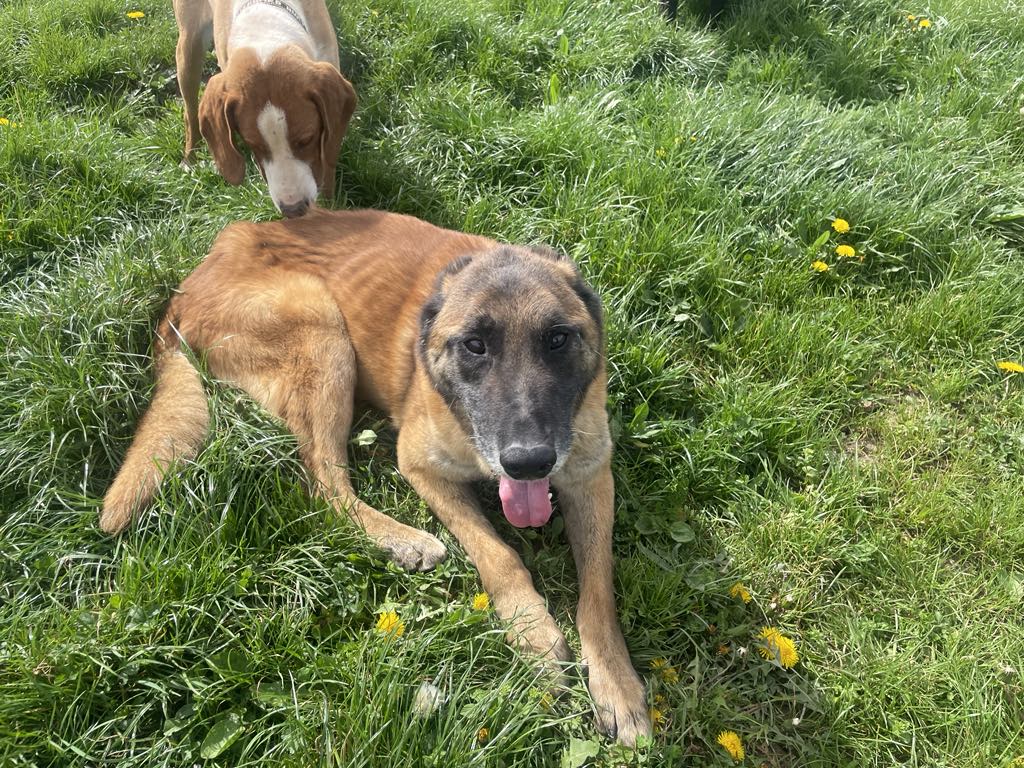 Vastasaapuneena turvakodilla 4/25