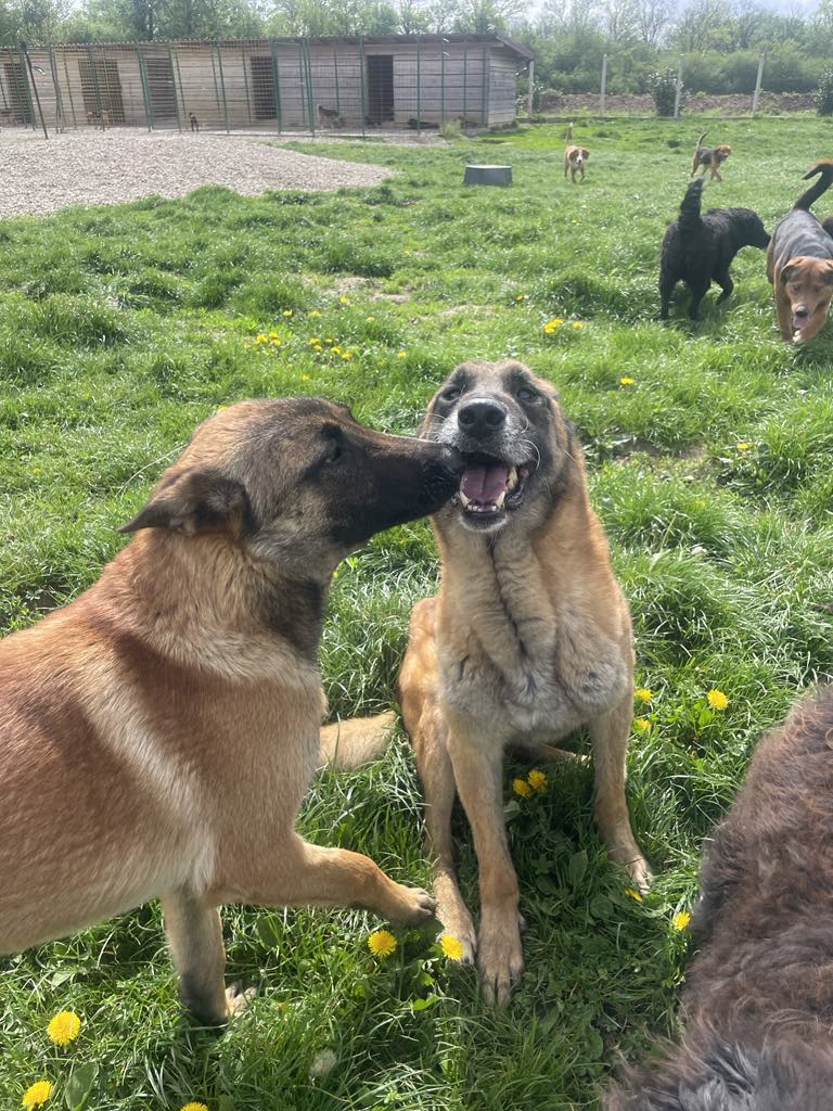 Vastasaapuneena turvakodilla 4/25