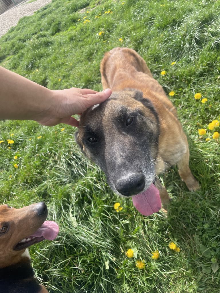 Vastasaapuneena turvakodilla 4/25