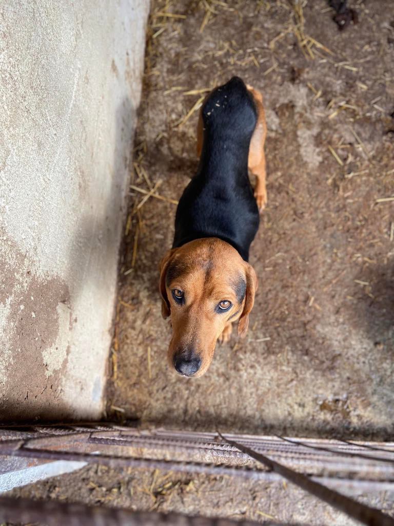 Kunnallisella tarhalla