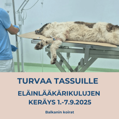 Turvaa tassuille – eläinlääkärikulujen keräys&nbsp;1.-7.9.2025