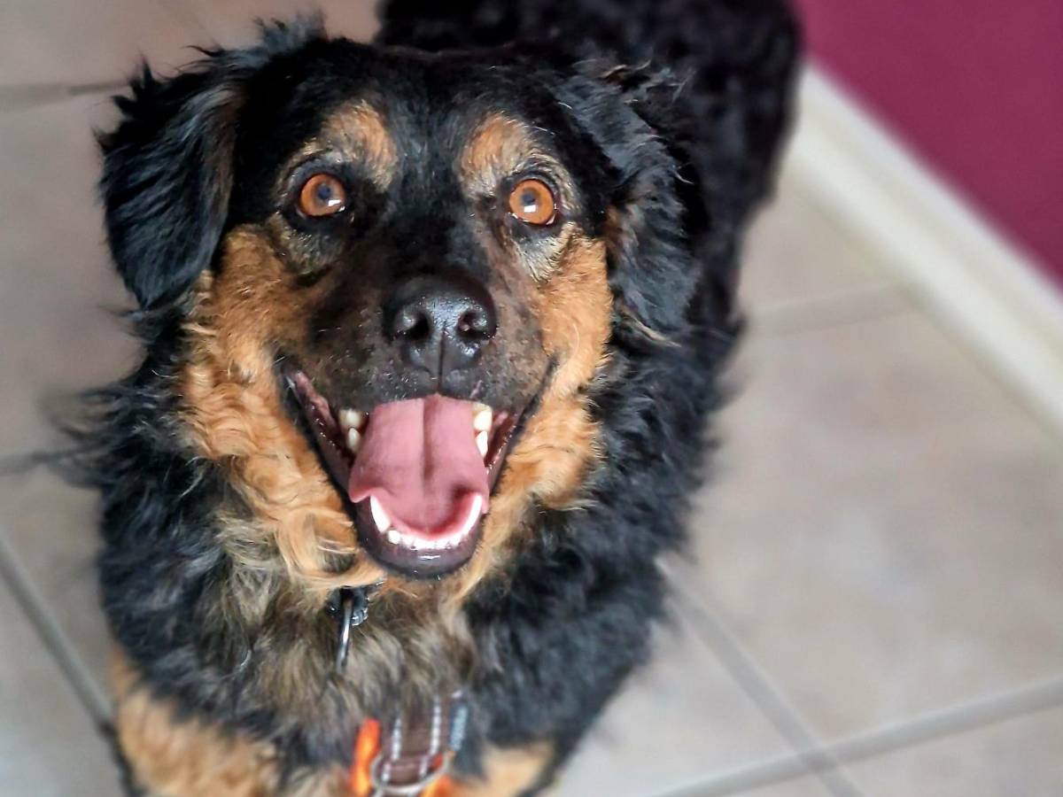 Minimedo – kotihoidossa&nbsp;Suomessa