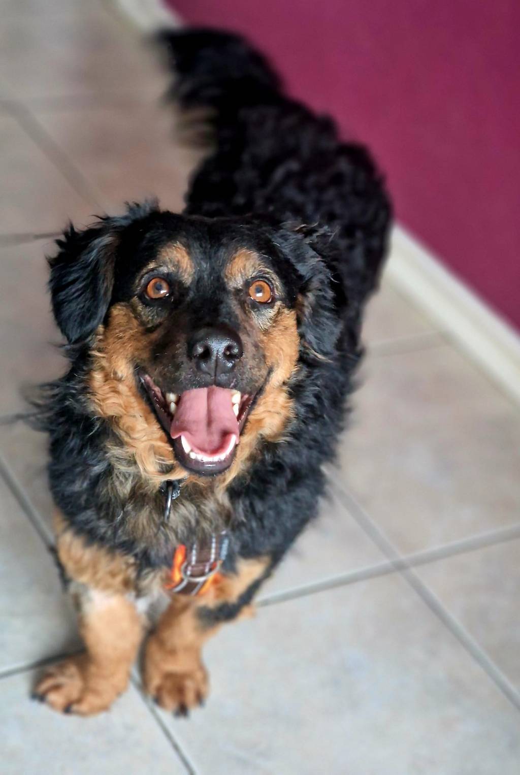 Minimedo – kotihoidossa&nbsp;Suomessa