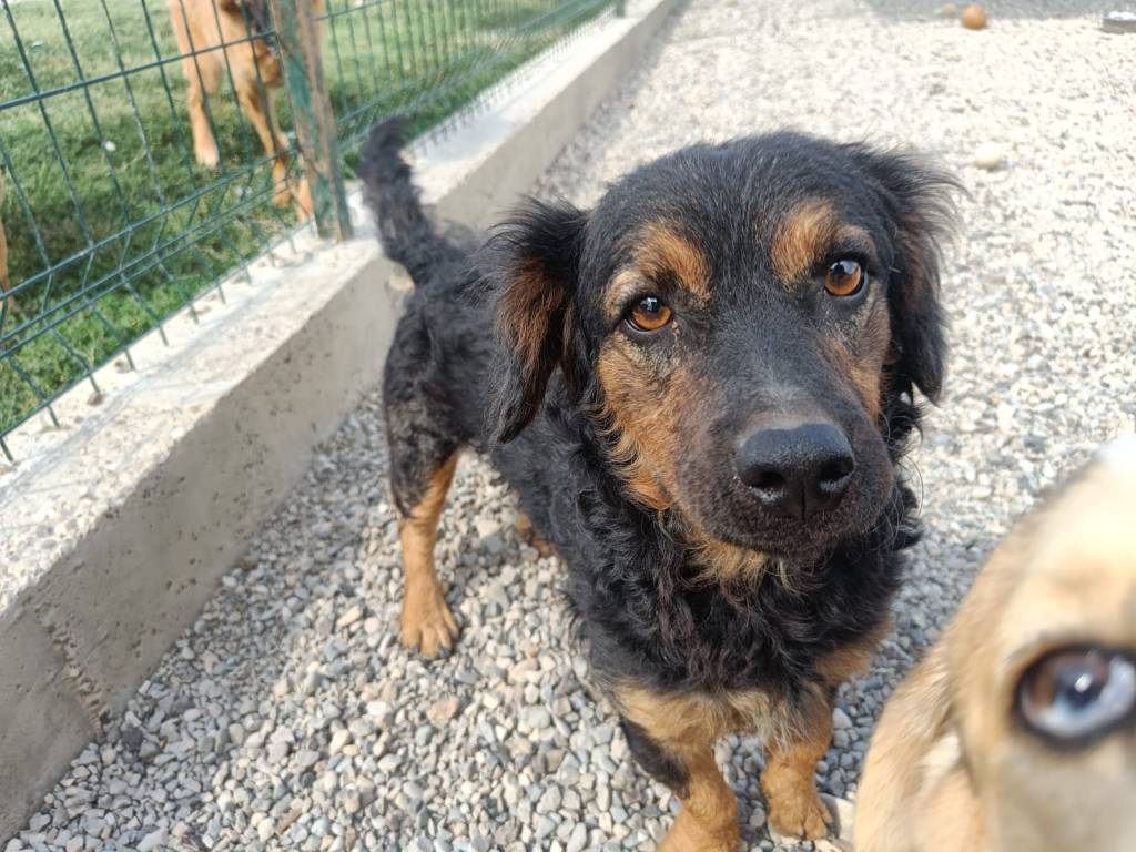 Minimedo – tulossa&nbsp;kotihoitoon