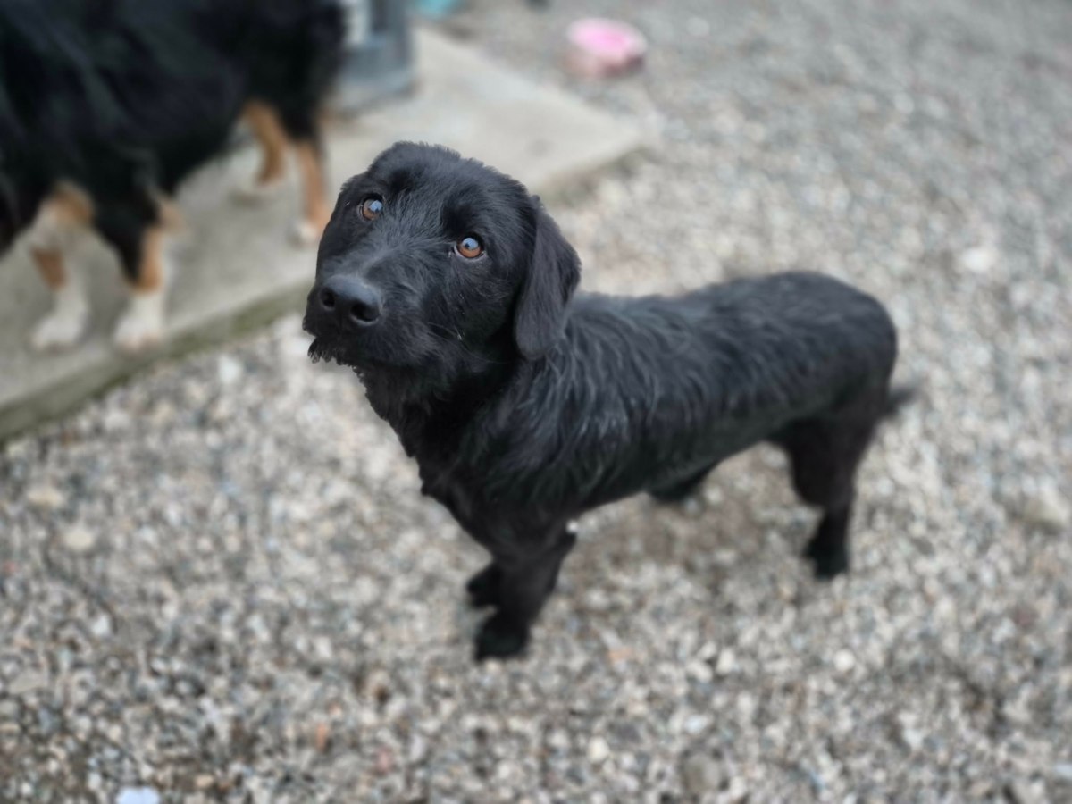 Neri – alustavasti&nbsp;varattu