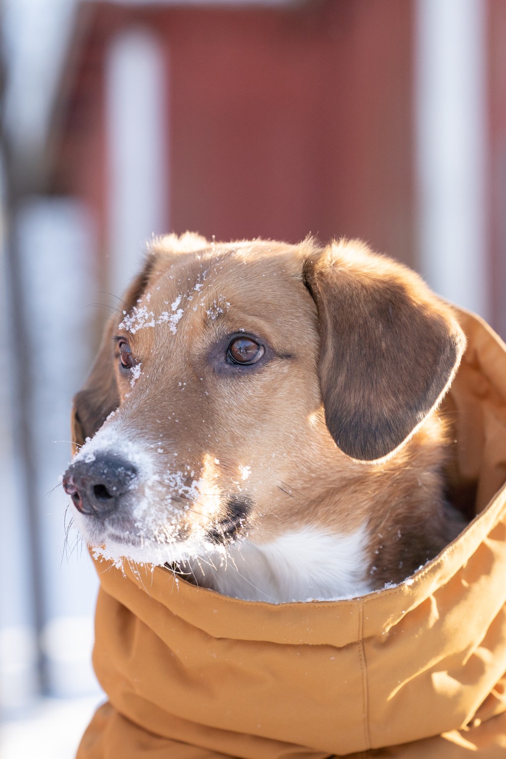 Aku – kotihoidossa&nbsp;Suomessa