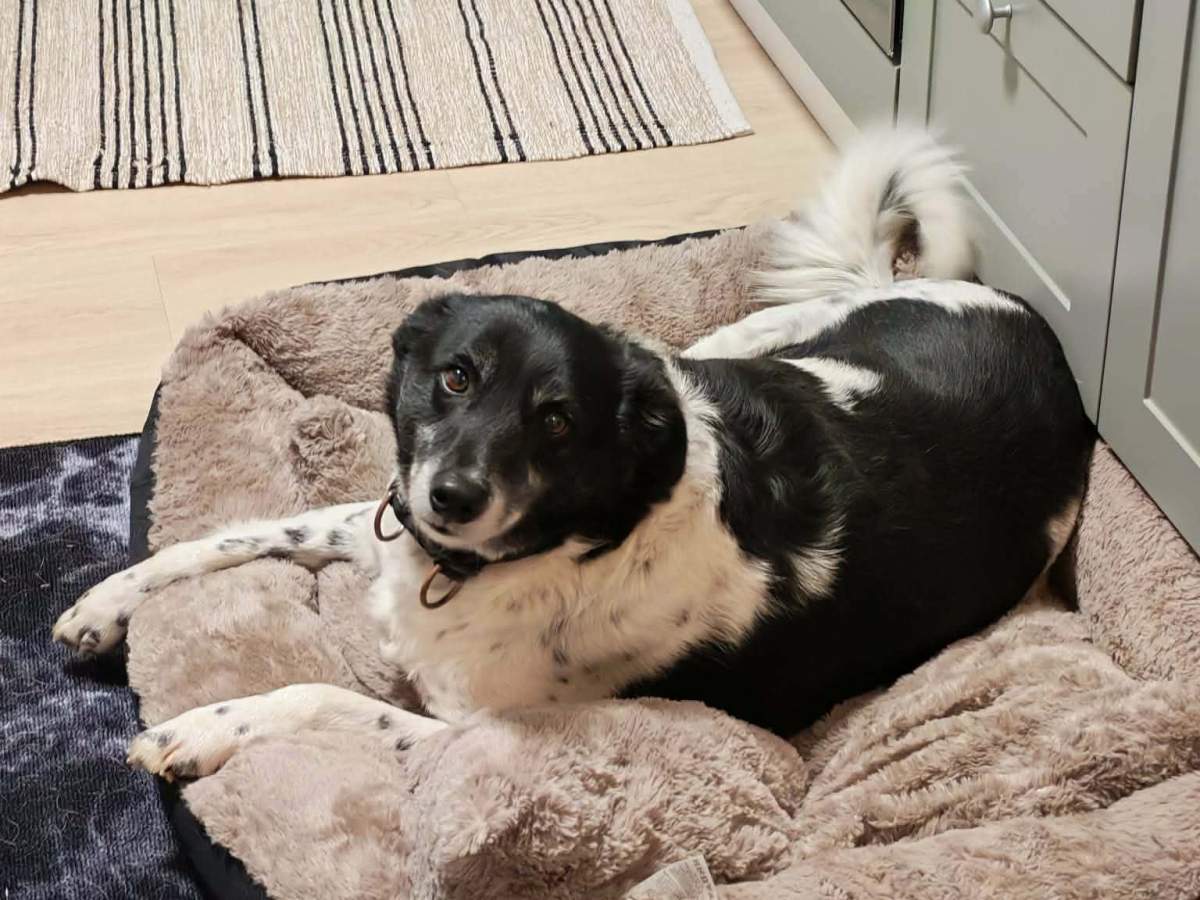 Tommy – kotihoidossa&nbsp;Suomessa