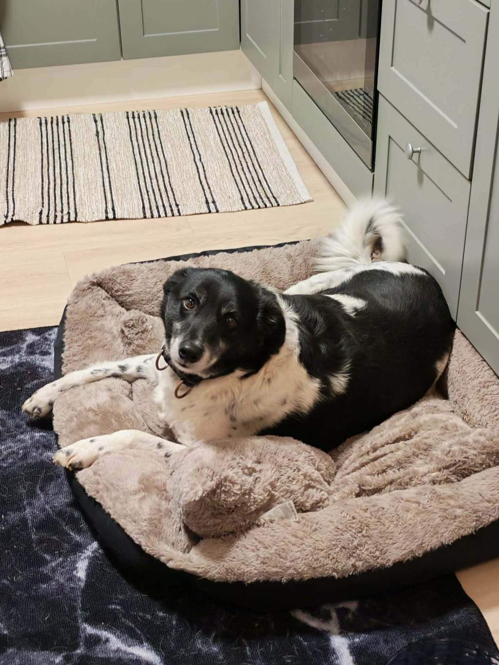 Tommy – kotihoidossa&nbsp;Suomessa