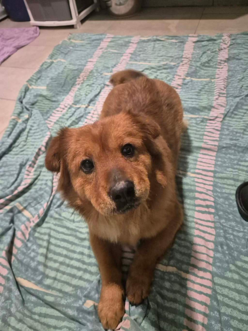 Salvia – alustavasti&nbsp;varattu