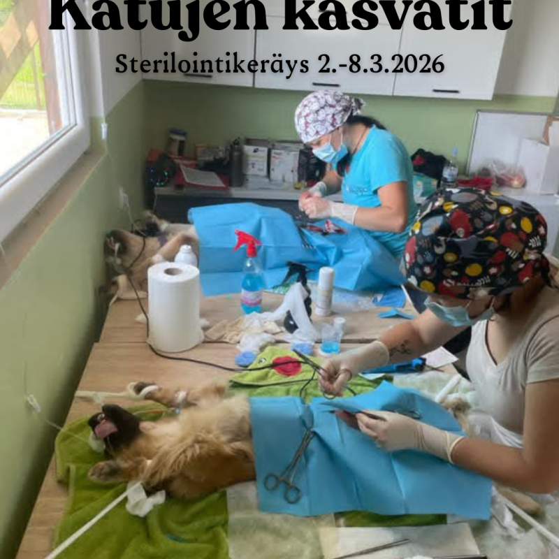 Sterilointikeräys 2.-8.3.2026