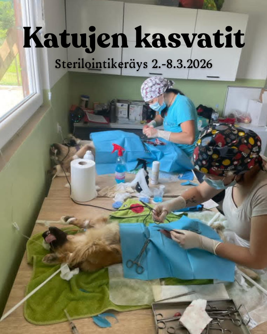 Sterilointikeräys 2.-8.3.2026