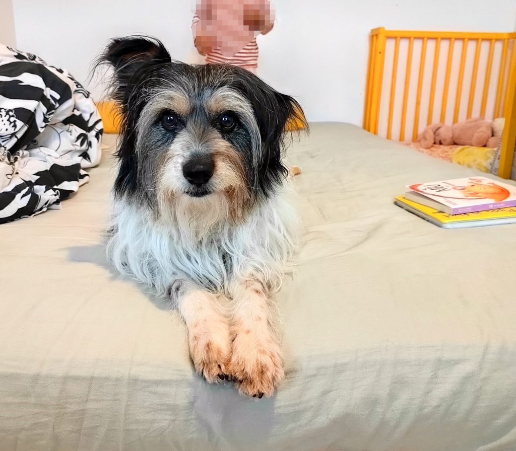 Ritu – kotihoidossa